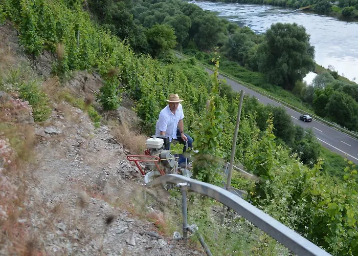 Maison d'hôtes Weingut***pension Guenther Scholtes